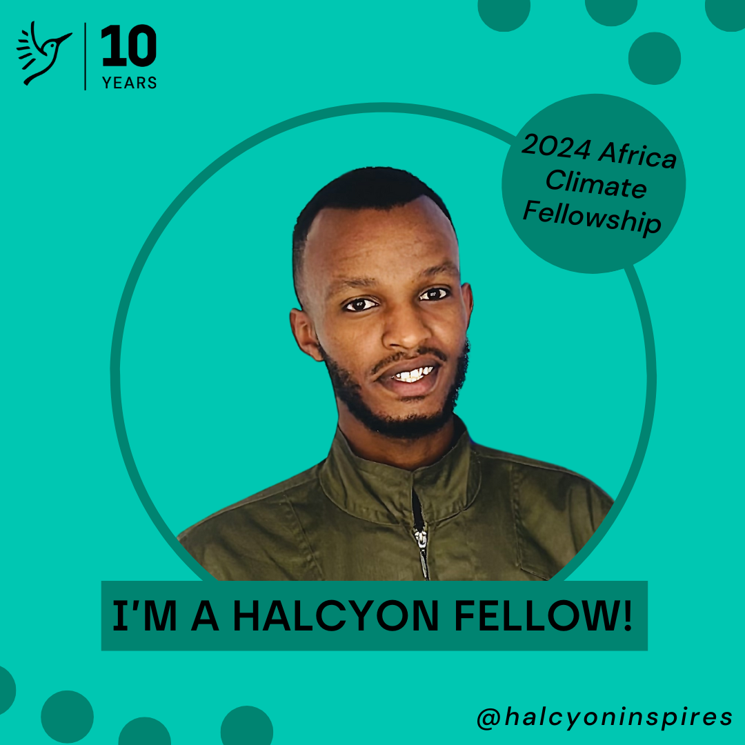 Halcyon Fellow 2024